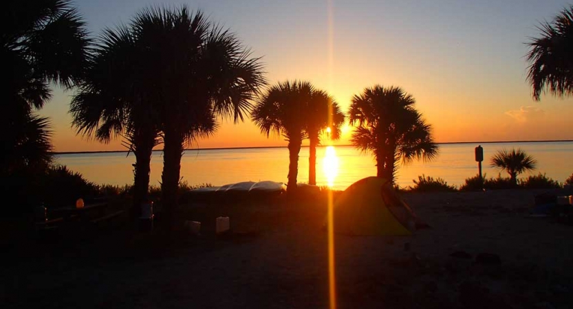 the silhouettes of palm trees are illuminated as the sun sets over the water behind them. 